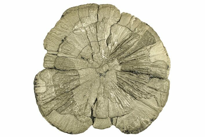 Pyrite Sun - Sparta, Illinois #315883